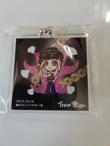 하마사키 아유미 ASIA TOUR 아크릴 키링