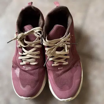 버건디 메쉬 스니커즈