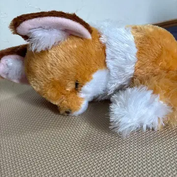 쵸콘과 여우 뱅글뱅글 졸음 봉제 인형 키나코