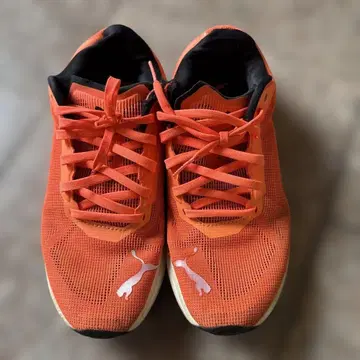 Puma 오렌지 스니커즈