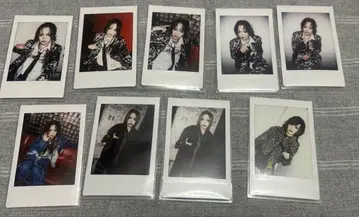 FEST VAINQUEUR HAL 폴라로이드