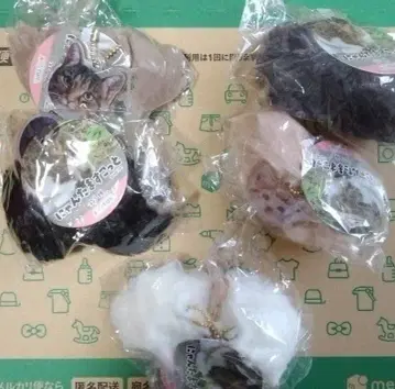 1, 냥타마 마스코트 5종