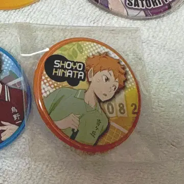 하이큐!! 히나타 쇼요 추억 캔뱃지 유년기