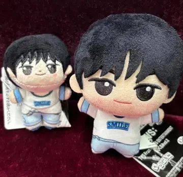 [ 새상품 택 포함 ] TWS 호와누이 SD 인형 도훈 DOHOON 2종