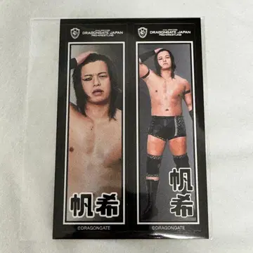 드래곤 게이트 비틀어 튀긴 센샤후다풍 씰