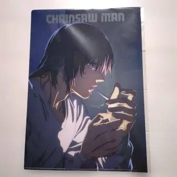 체인소 맨 하야카와 아키 클리어 파일