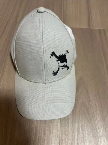 오클리 OAKLEY 스컬 골프 캡