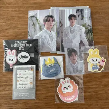 스트레이 키즈 리노 굿즈 세트 Leebit