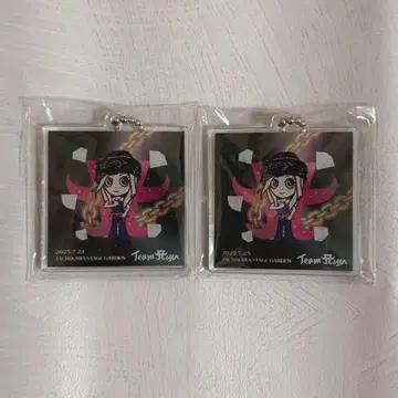 하마사키 아유미 도쿄 아크릴 키링 2개 세트