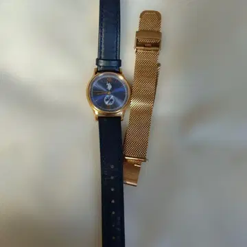 USPA 아날로그 손목시계 네이비/골드