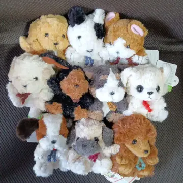 TAKENOKO 오테다마 퐁텐