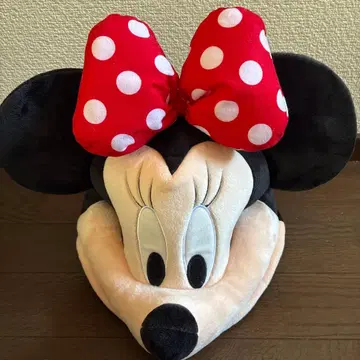 디즈니 팬캡 미니