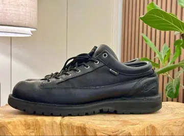 다너 GORE-TEX 블랙 부츠