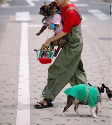 BEAMSBOY 빔즈 보이 US ARMY 오버 팬츠