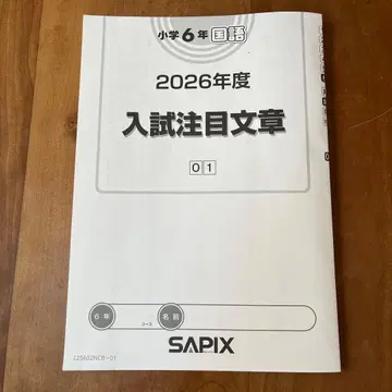최신 버전 2026년도 SAPIX 6학년 국어 입시 주목 문장