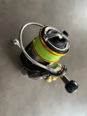 다이와 20레브로스 LT 2500S-H