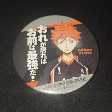 하이큐 히나타 쇼요 jworld 마그넷 캔뱃지