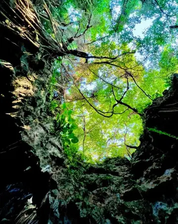 마나토 MANATO 멘프로 식육 주걱 BE:FIRST 비퍼스트