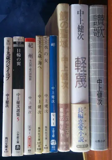 나카가미 겐지 소설 9권