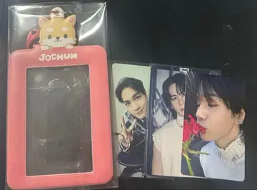 지오 참 마메치 트레이딩 카드 홀더 마메하라 잇세이 JO1