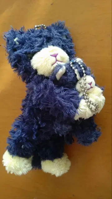 프린스 캣 아이리스 2체 세트