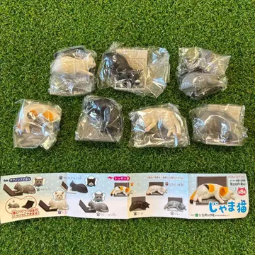 가챠 방해 고양이 7종류