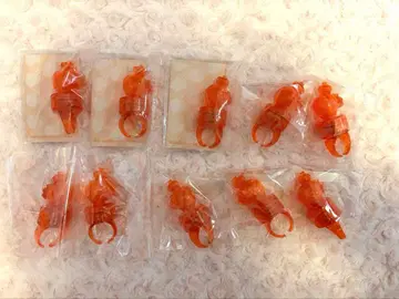 젤군 링 라이트