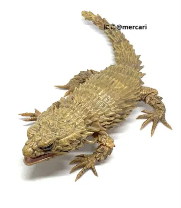 생물대도감 아르마딜로 도마뱀 먹선 작업 ver. 파충류 피규어