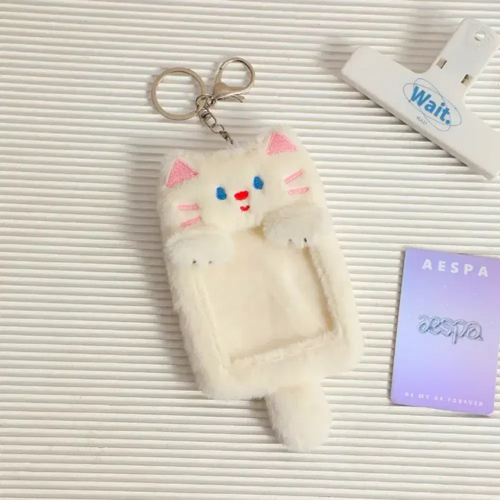 New) Idol photocard holder keyring