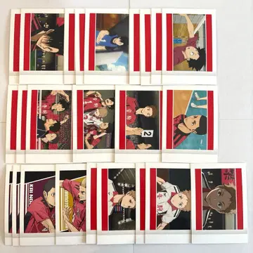 하이큐 쓰레기장의 결전 파샤코레 쿠로오 테츠로