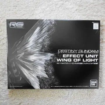 RG 데스티니 건담용 빛의 날개
