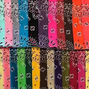 HAV-A-HANK 페이즐리 반다나 10장 세트