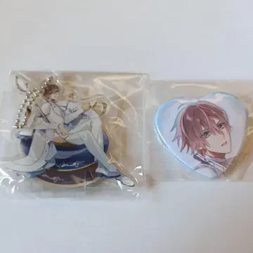 청백 카린 화집 미스트니아 존 아크릴 스탠드 캔 배지