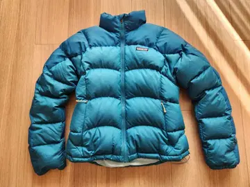 Patagonia 다운 자켓 파랑