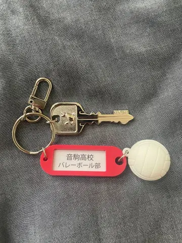 [네코마 고교] 하이큐!! 트레이딩 고교명 포함 열쇠 참 키링