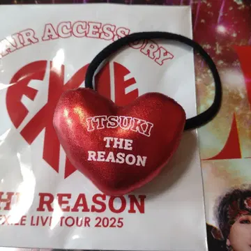 THE REASON 머리끈 후지와라 이츠키