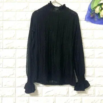 레이스 이너 시스루 전체 레이스 스탠딩 칼라 셔츠 블라우스