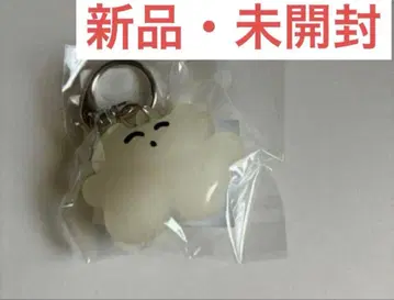 카네코 아야노 축광 키링 새상품 미개봉