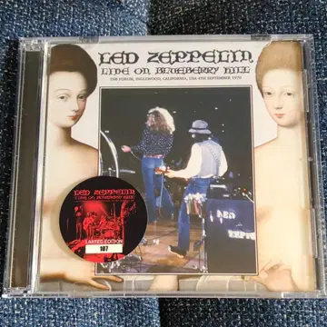 Led Zeppelin 블루베리 힐