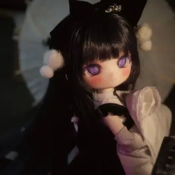 TinyFox 아라크네 개봉 완료