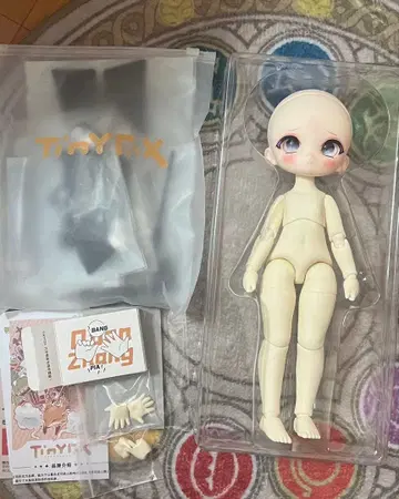 TinyFox 아라크네 1/6 개봉 완료 풀세트