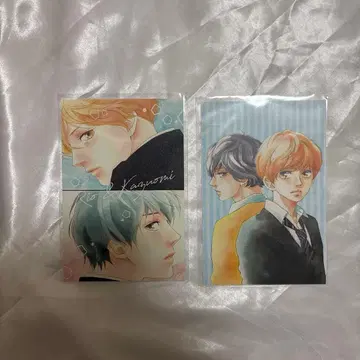 사키사카 이오 전시회 엽서 아오하라이드 아오하루키옥