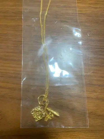 골드 참 포함 목걸이