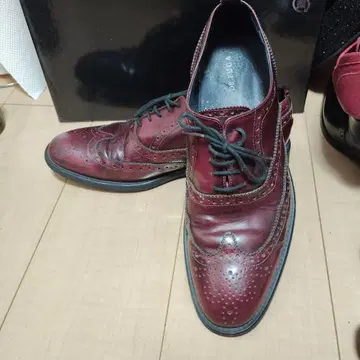 윙팁 가죽 신발 버건디