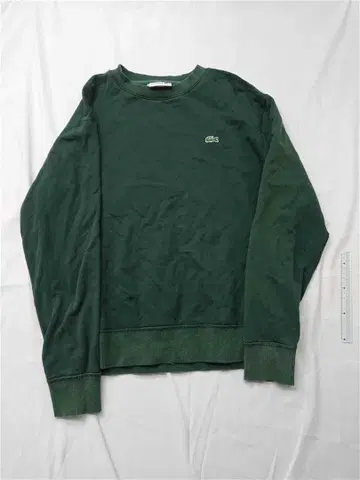 라코스테 크루넥 코튼 맨투맨 그린 계열 남성용
