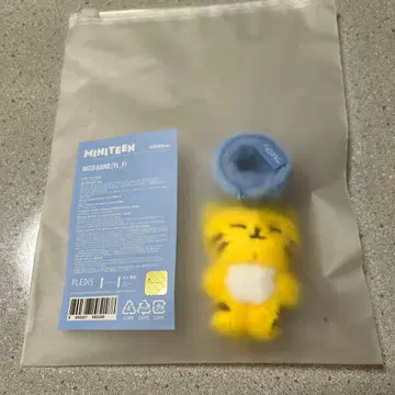 SEVENTEEN [NEW_]MINITEEN Deco Band