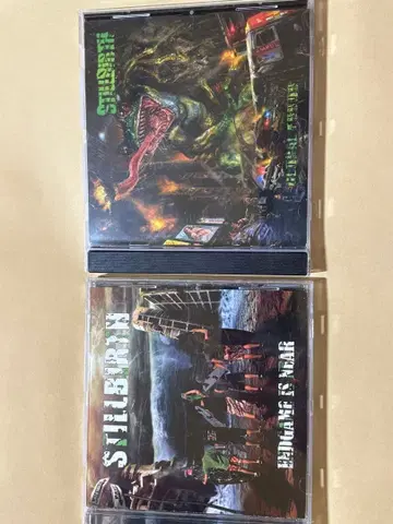 Stillbirth Global Error와 Endgame is Near