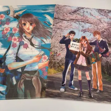 치하야후루의 세계 스에츠구 유키 원화전 10주년 클리어 파일 2매 세트