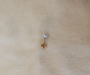 진주와 골드의 스터드 귀걸이