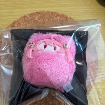 컬러풀피치 카라피치 싸개타피누이 노아